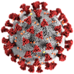 Ein Coronavirus (by CDC/Alissa Eckert, MS; Dan Higgins, MAM)